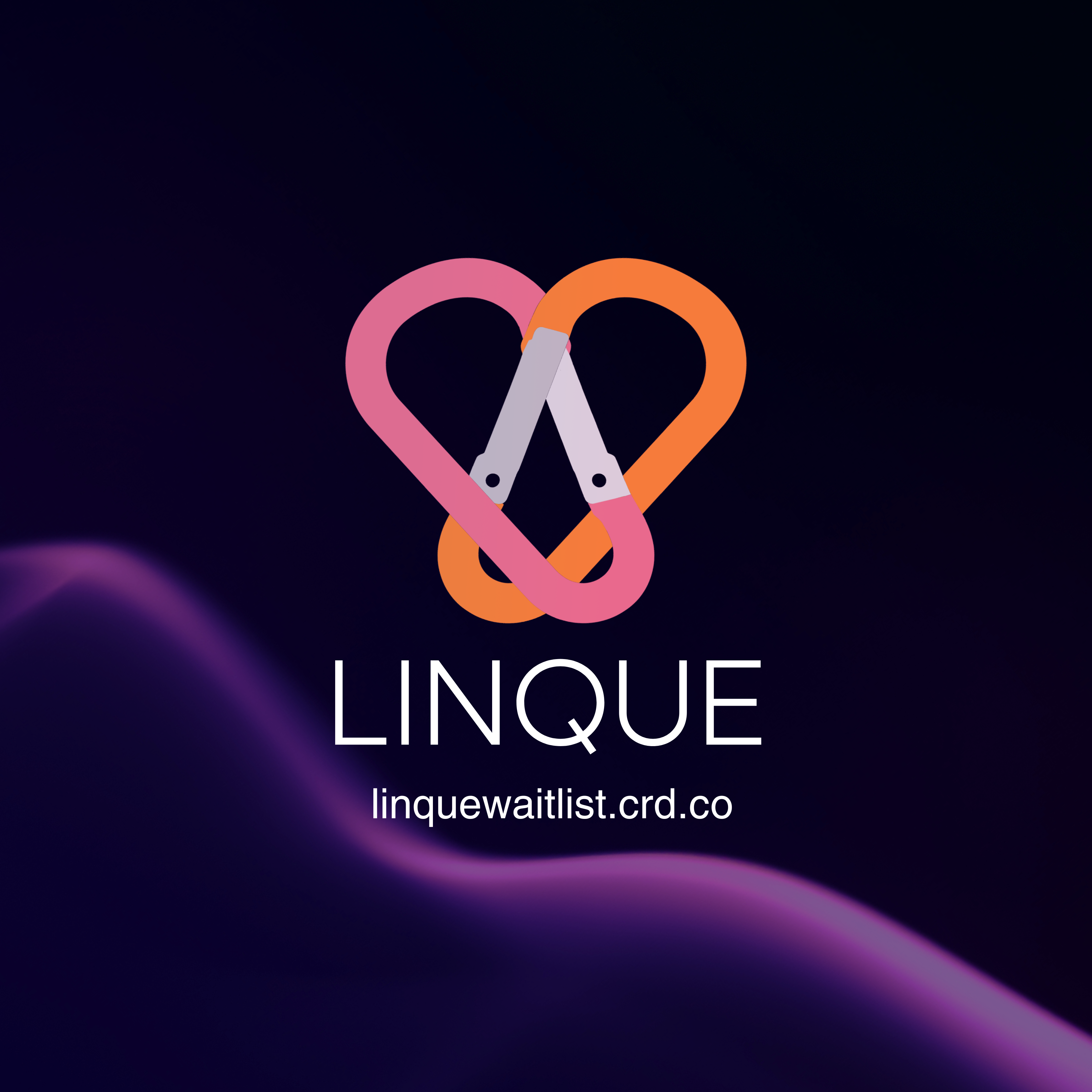 Linque visual 9